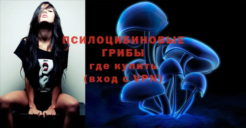 Псилоцибиновые грибы Psilocybe  купить наркотики сайты  Балахна 